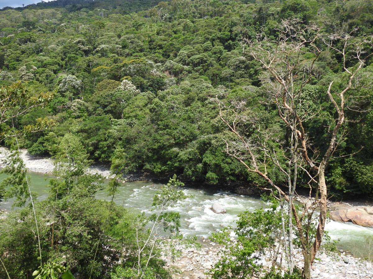 Posada Turistica Dantayaco Mocoa Exteriér fotografie